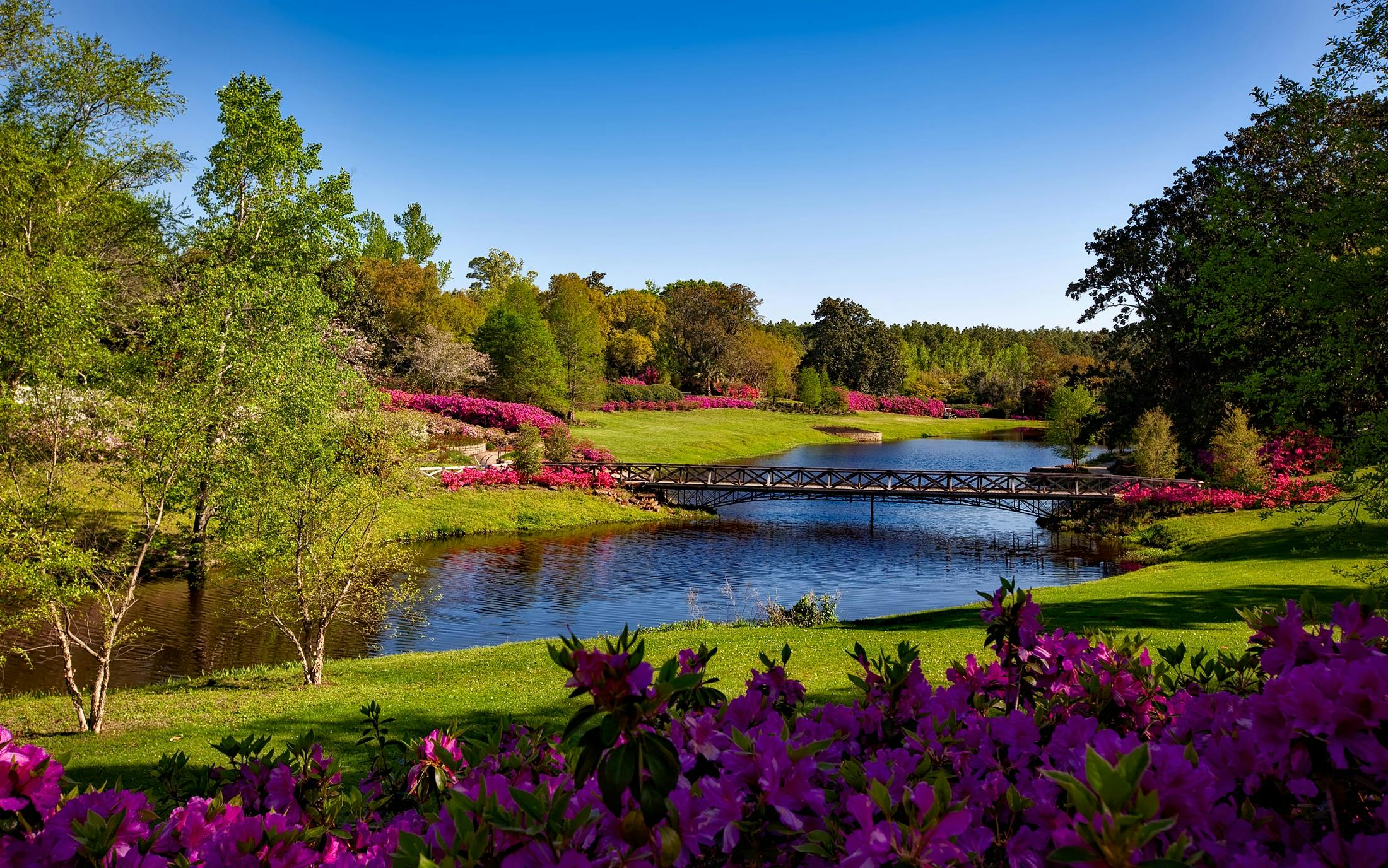 Beautiful garden park with river and flowers