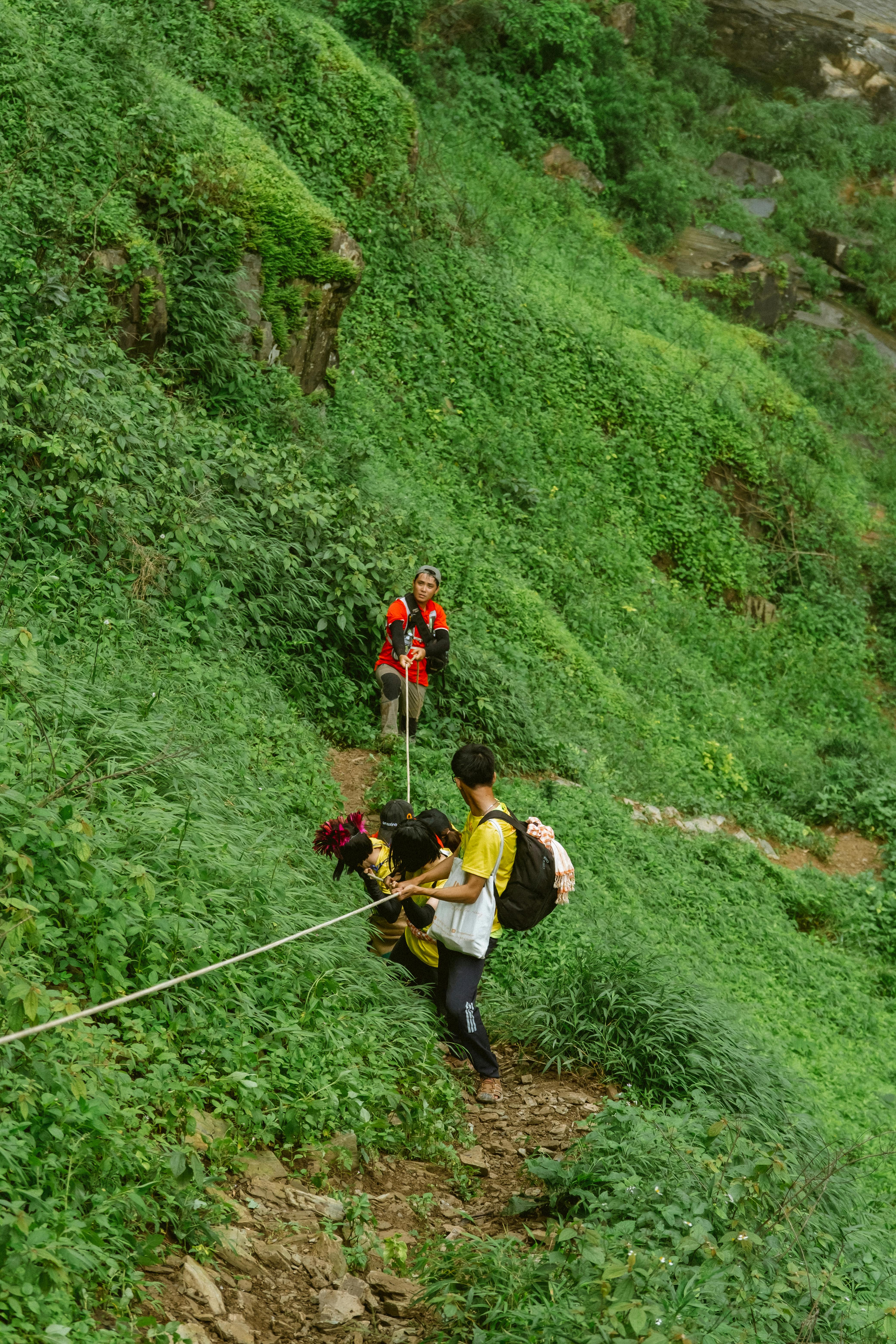 Researchers in a lush green forest