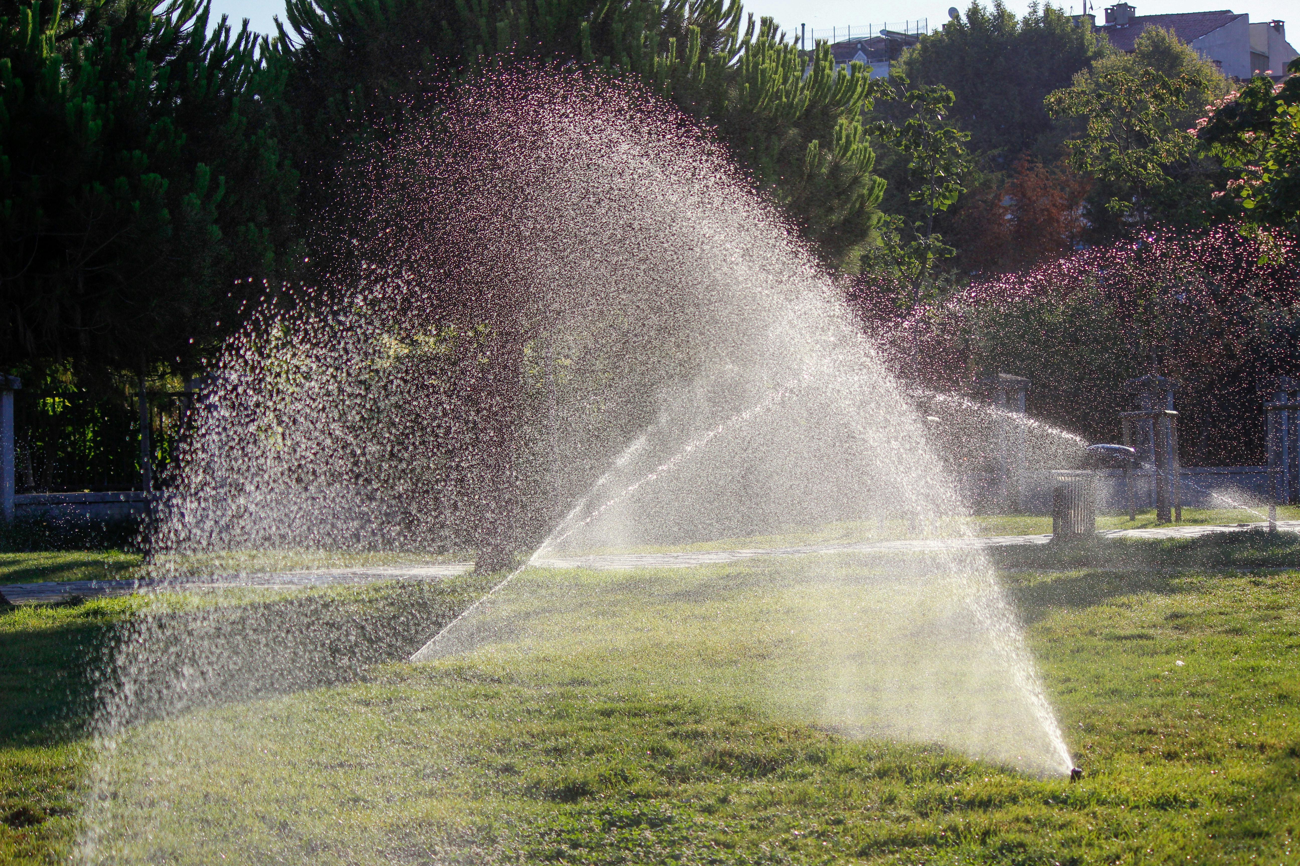 Irrigation sprinklers on a green field